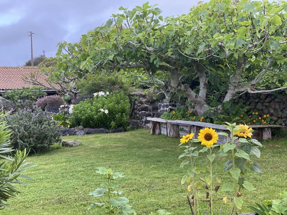 Quinta Perpetua, Casa Corvo Villa Alto do Sul Eksteriør bilde